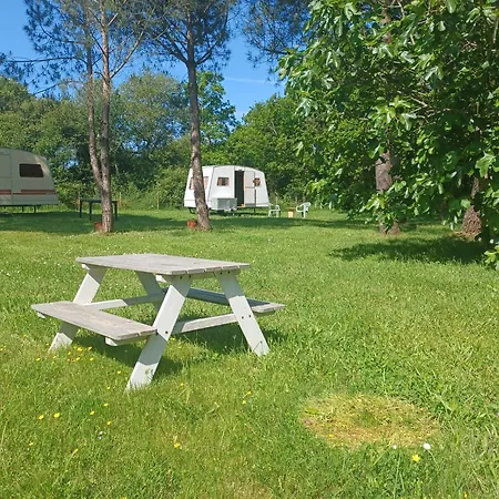 Campsite Caravane Vintage